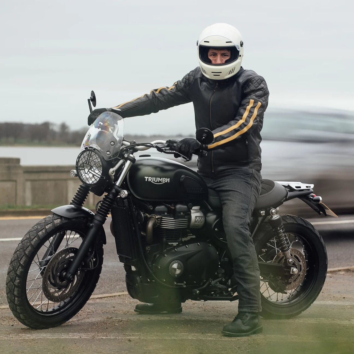 Icon D30 Leather Jacket - Black/Gold