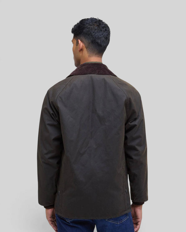 Baffle Haus Barbour Bedale olive waxed cotton jacket with corduroy collar, back view on a male model