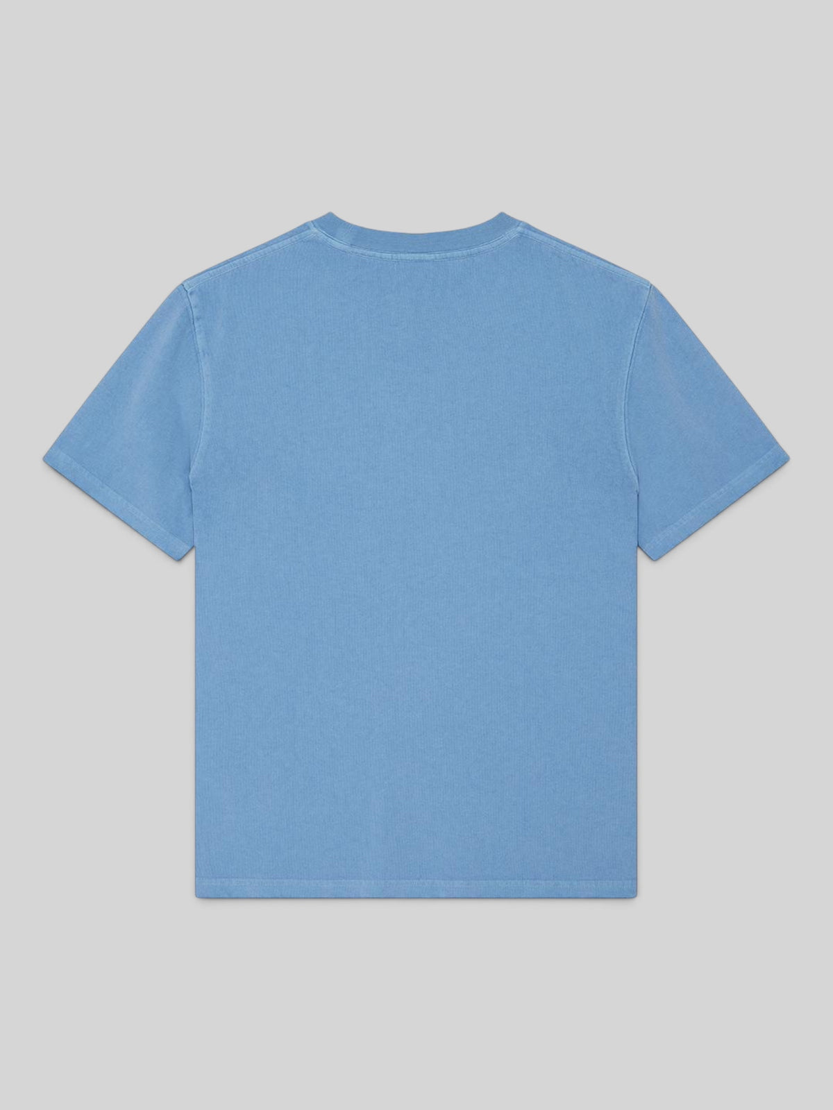 Baffle Haus Deus Shield garment dyed heavyweight cotton t-shirt in bonnie blue, back view