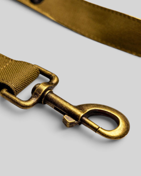 Baffle Haus khaki dog lead featuring a durable nylon strap and a heavy-duty brass swivel clip